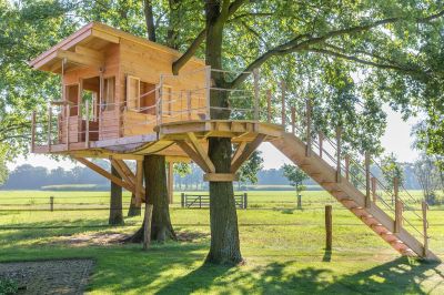 Treehouse Repair