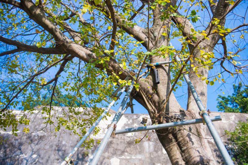 Structural Reinforcement