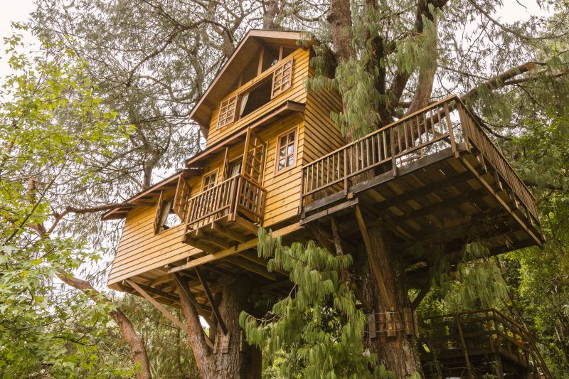 Summer Treehouse Maintenance